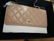 全新 Chanel trendy cc woc Bag