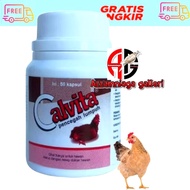 CALVITA 50 BUTIR CALVITA MEDION VITAMIN LUMPUH AYAM HEWAN