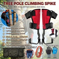 Tree Climbing Gear Set climbing harnessTree Spike Climbing Spikes Set Adjustable Tree Climbing Safet
