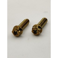 《KAMUI》 M10x1.25 25mm Special Gold caliper Screw 14mm Screw