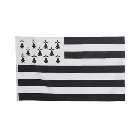 3x5Fts Breizh Bretagne Llydaw Brittany Flag Authentic Design Durable Outdoor Polyester National Regi