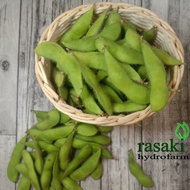 500g fresh edamame beans