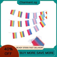 Rainbow flag gay flag gay polyester string flag 5m (4 patterns flag size 1