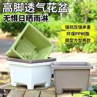 Small Fruit Ting Square Root Control Ball and Square Flowerpot Gardening Balcony Flowerpot Green Pla