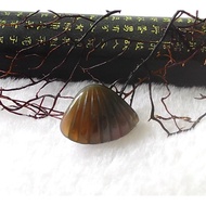 [Disk Crystal] [Money Fortune] Top Salt Source Agate Shell Carving Pendant JX-24 (18x24x8mm Weight 4