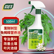 Shangyang Pachira Macrocarpa Plant Nutrient Solution Dilution-Free Gardening Bonsai Fertilizer Organic Fertilizer Plant