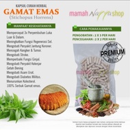 Kapsul Curah Herbal GAMAT EMAS sistem kekebalan Tubuh