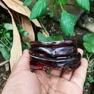3-Strand Red Sea Root Bracelet, Translucent