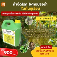 ยารักษาโรคพืช กำจัดโรคไฟทอปธอร่า ในทุเรียน โรคที่เกิดจากเชื้อรา ฉีดพ่นไอเอสใช้ได้กับพืชทุกชนิด(ขนาด 