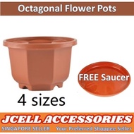 Jcell Octagonal Succulent Pot Plant Pot Cactus Pot FREE Saucer Plate