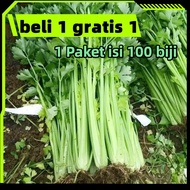 Beli 1 dapat 1 gratis Benih Bibit Super Daun Seledri Benih Daun Seledri Bibit Daun Seledri Biji Daun