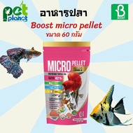 [60g.] อาหารปลา Boost micro pellet GROWTH&amp;COLOR FORMULA สำหรับ ปลาหางนกยูง ปลากัด ปลาเทวดา ปลาทอง อาหารปลาซากุระ อาหารปลา อาหารปลาสวยงาม