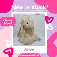 現貨‼️Jellycat Springlowe Luxe Bunny 51cm Huge Size