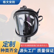 Self-Absorbent Filter Type Gas Mask Fire Industrial Spray Paint Dedicated Gas Mask SF6 Gas Mask Full
