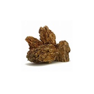 Aquascaping Stone Rock - Ohko / Dragon Stone / Yellow Spongy / Aveolate (3kg)