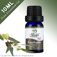 Biolife Eucalyptus Dives 100% Pure Aromatherapy Natural Organic Essential Oil (10ml Single-Note Oil) suitable use for Diffuser Humidifier Massage Skin Care