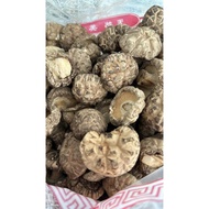 春载茶花菇 Tea Flower Mushroom (4.5- 5cm)