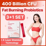 Dr GET IT Fat Burning Plus Probiotics 400 Billion CFU Synbiotics with Garcinia Cambogia and Zinc 4 L