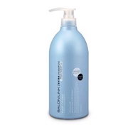 Kumano Salon Link Extra Treatment Shampoo 1000ml (5871, 5873)