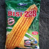 Benih jagung Bisi 228 (1kg)