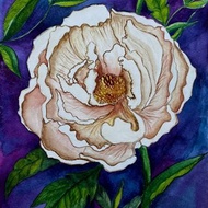 Peony/ Watercolor on paper A4