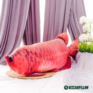 Arwana Super Red Bantal Ikan Arwana Jumbo