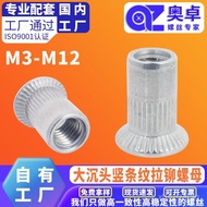 304Rivet Nut Rivet Cap Rivet Nut Flat Head Vertical Pattern Knurled Nut Stainless Steel Rivet Throug