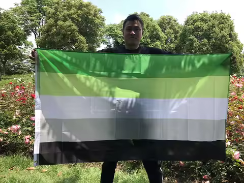 SKY FLAG Rainbow Flag 90X150cm Polyester Hanging LGBTQIA Romantic Orientation Aromantic Pride Flag f