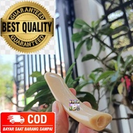 Pipa Once Model Taring Iga Duyung Asli