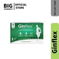 【Buy 2 Free 1】Ginflex Joint Pain Quick Relief Plant Based Health Supplement