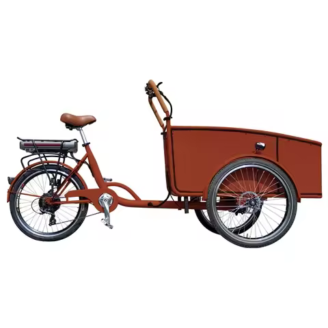 250W & 500W Motor Lithium Battery 3 Wheel Electric Bike Electric Bakfiets