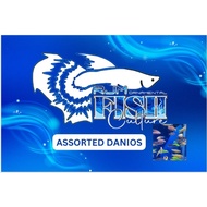 1 FISH FOOD & ORDINARY DANIOS