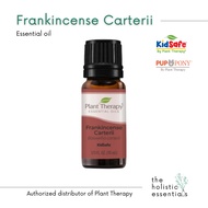 Frankincense Carterii Essential Oil 10ml - Plant Therapy