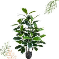 Artificial Plant Variegated Fiddle Fig Plant, faux plant, fake plant, home decor, events, garden Apl