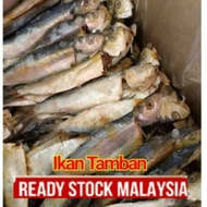 ikan tamban ikan kering 500gm hasil laut fi