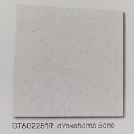 Granit dYOKOHAMA 60X60 matt