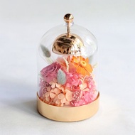 風鈴玻璃盅檯燈 - 玫瑰金