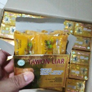 Tawon liar asli