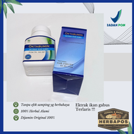 Ektrak Ikan Gabus Oktabumin 60 kp | mempercepat penyembuhan luka | oktabumin terlaris