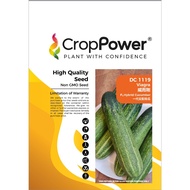 Benih Timun DC1119 Viagra F1 Hybrid Cucumber Crop Power - ( 100g ) 👍 💯