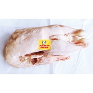 Juragan Daging Bebek Karkas Boiler Utuh ukuran 11