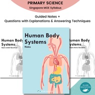 Primary 4/5/6 Science Topical Notes & Questions fr PSLE: Human Systems P4 | More than an Assessment 