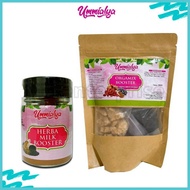 Herba Milk Booster, Orgamix Milk Booster UMMIALYA