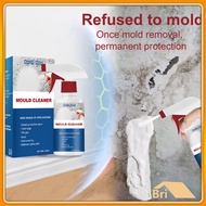 Powerful Mold Remover Spray For Home Cleaning bri