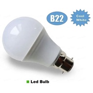15W A60 LED Bulb