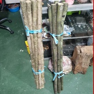 Teras Kayu Berbisa/Kayu Hujan Panas/Kayu Tas Borneo