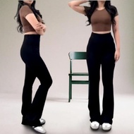 Flare Pants - Highwaist Flare Pants - Highwaist Curly Cutbray