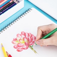 得力Deli Super Wings油性色鉛筆/EC00830/36色