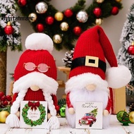 Christmas Gnomes Decorations Christmas Gnomes Plush Christmas Gnomes Plush Decor 2 Pack Handmade Chr