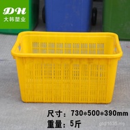 3kg Basket Supply Vegetables Fruits Daehan Material Specifications Turnover 730 Baskets Manufacturer